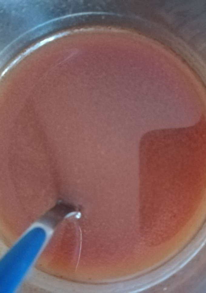 Una foto de Salsa agridulce