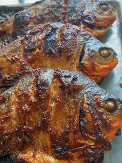 Foto resep Ikan bawal bakar jahe