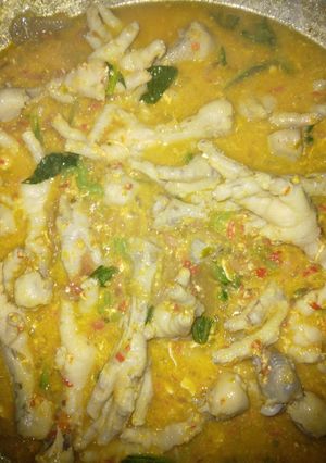Foto resep Seblak ceker ndower