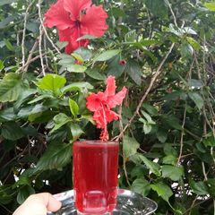 A picture of Hibiscus Juice.