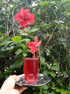 A picture of Hibiscus Juice.
