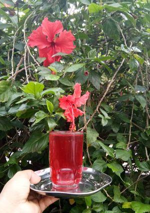 A picture of Hibiscus Juice.