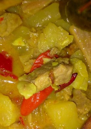 Foto resep Sayur santan daging sapi dan kentang