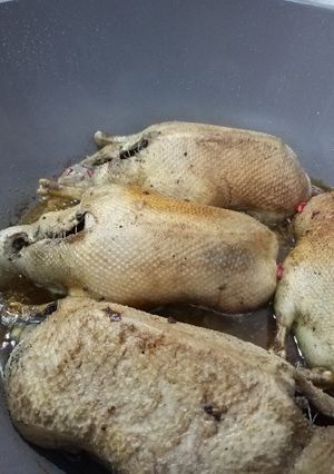 عکسی از دستور اردک شکم پر شمالی