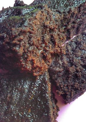 Foto resep Brownies Kukus Lumer