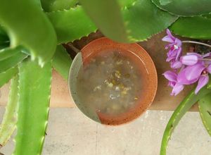 Hình của món Chè nha đam đậu xanh.