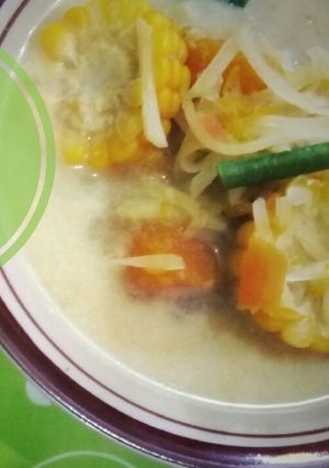 Foto resep Sayur pepaya muda berkuah santan
