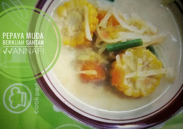 Resep Sayur pepaya muda berkuah santan Anti Gagal