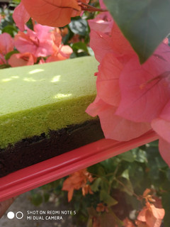 Foto resep Brownies lapis pandan kukus