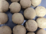 Delicias de lotus