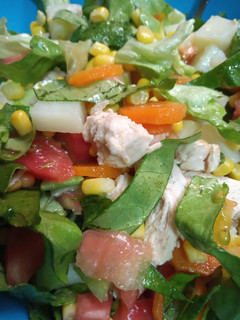 Una foto de Salpicón de verduras y pollo