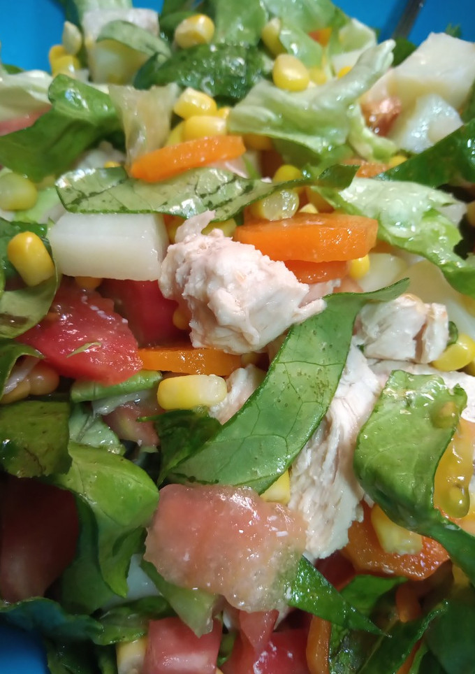 Una foto de Salpicón de verduras y pollo