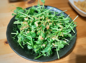 豌豆苗日式胡麻醬沙拉 的食譜成品照片