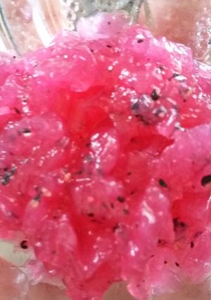 Foto resep Agar - Agar Buah Naga MPAsi 8 bulan