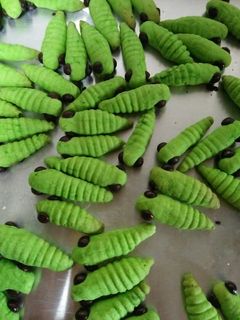 Foto resep Caterpillar cookies