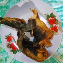 A picture of Lele Goreng.