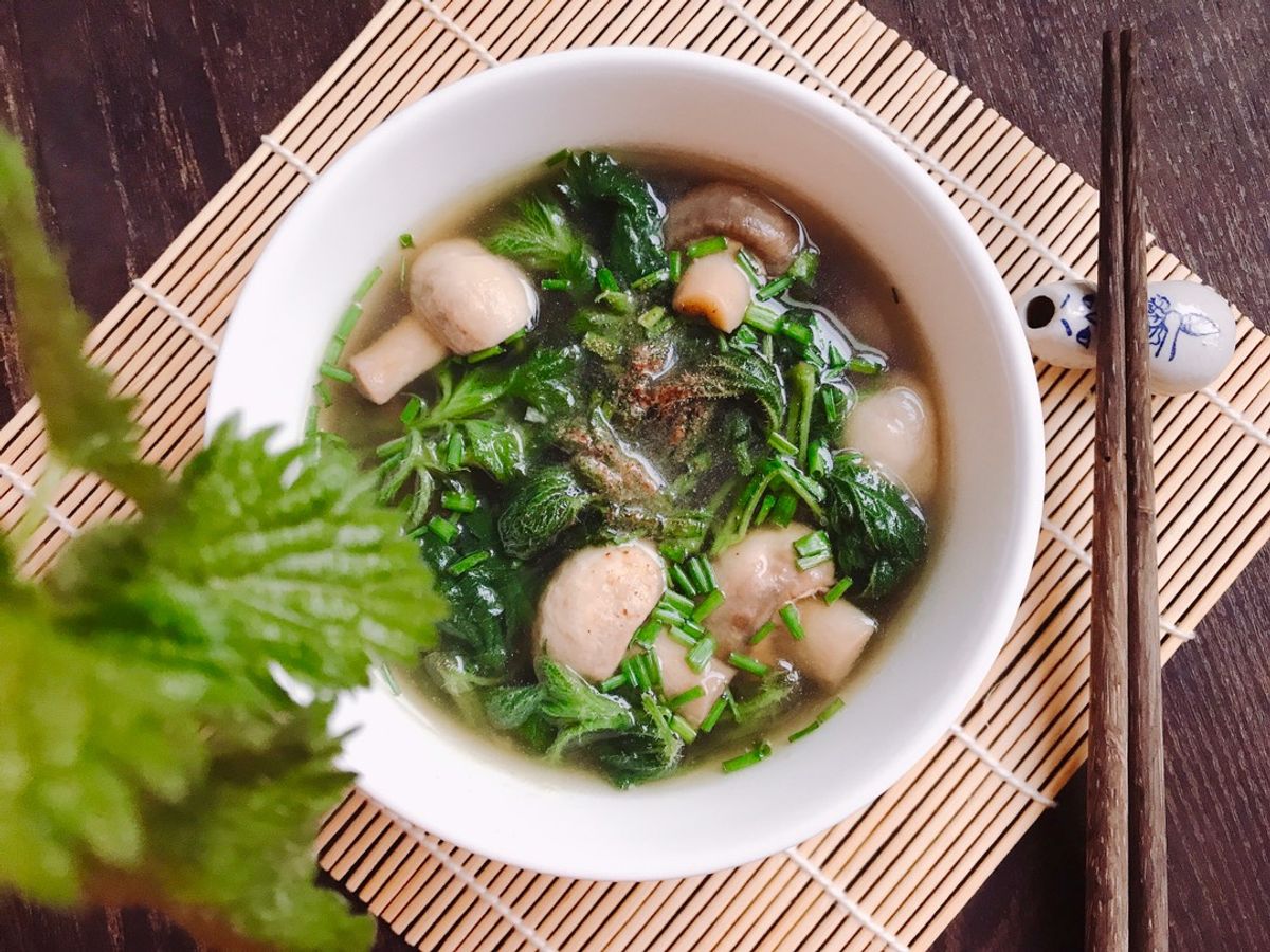 🌱 Canh Rau Tầm Ma Nấm Mỡ (Vegan)