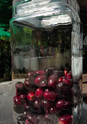 รูปของ นำ้ส้มสายชูลูกหว้า (Black plum vinegar)