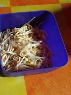 Foto resep Toge tumis ala anak kos