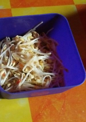 Foto resep Toge tumis ala anak kos