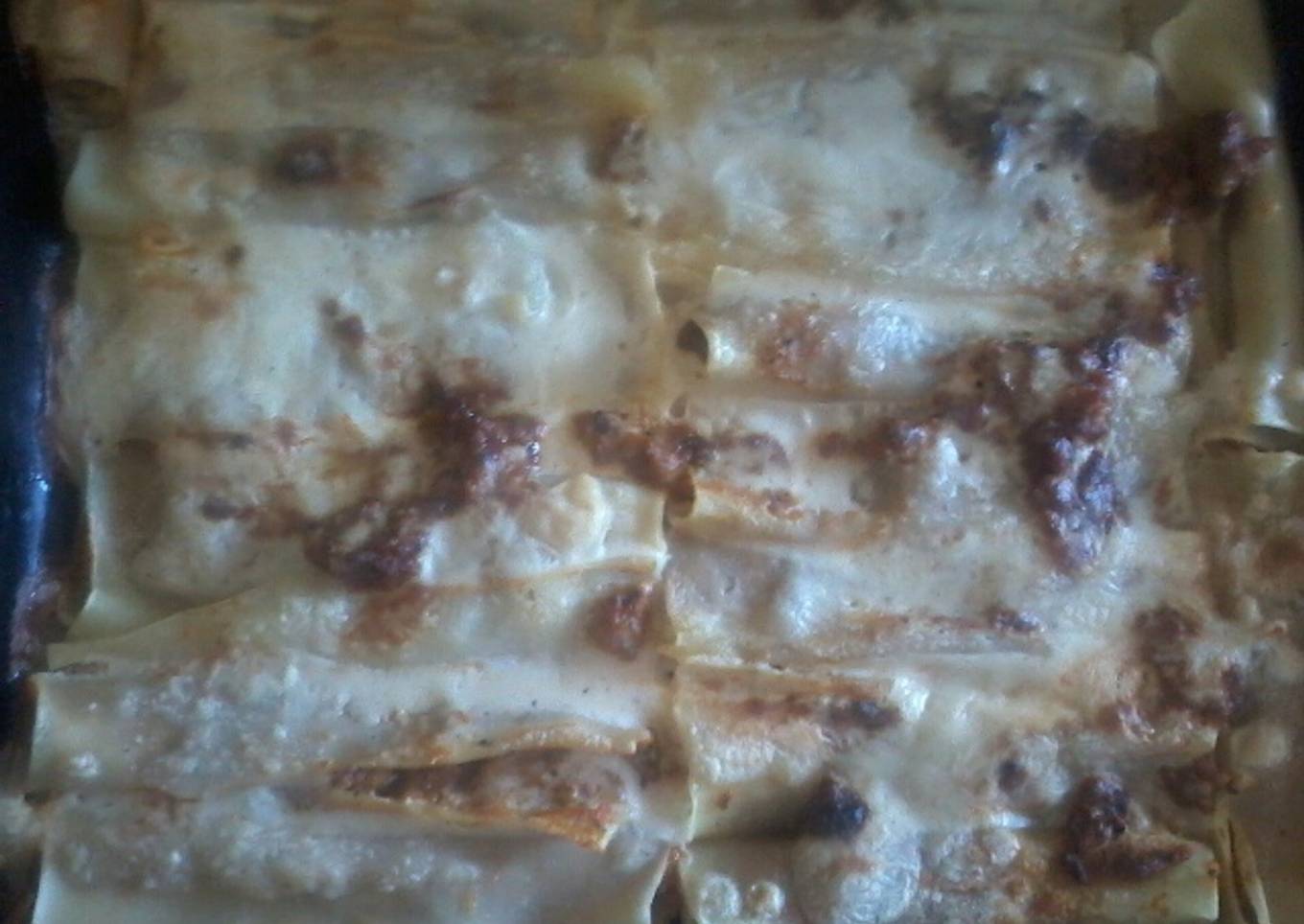 Canelones de carne picada muy fáciles
