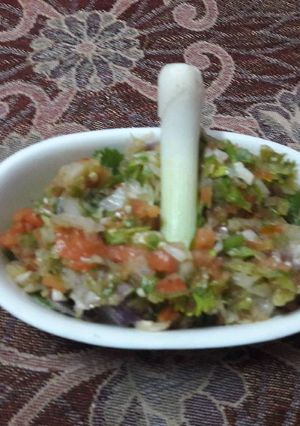 A picture of Salsa.