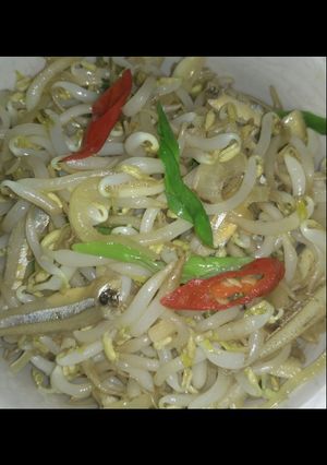 Foto resep Tumis toge teri