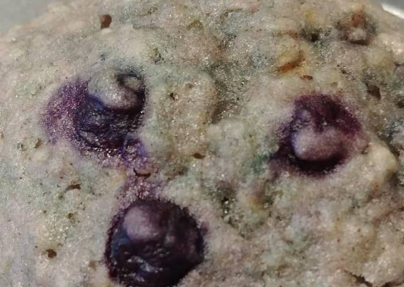 Blueberry Oatmeal Muffins