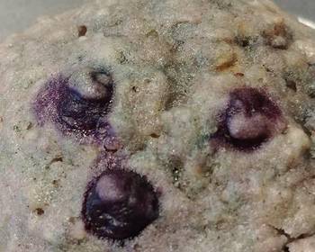 Fresh, Cooking Recipe Blueberry Oatmeal Muffins Delicious Simple