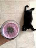 41. Smoothies Berries