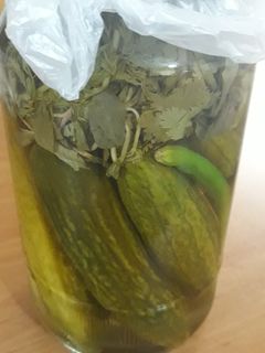 عکسی از دستور خیارشور