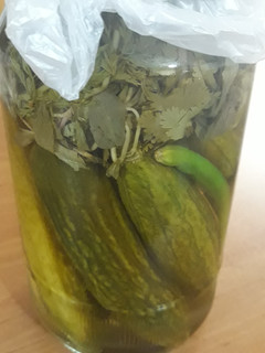 عکسی از دستور خیارشور