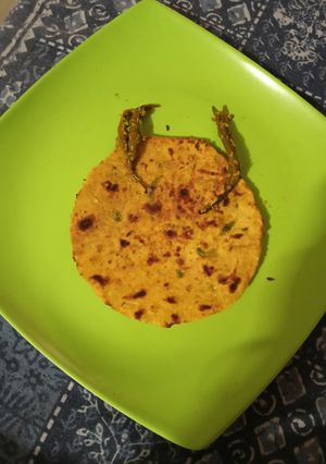 A picture of Lauki Paratha.