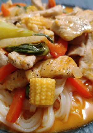 A picture of Red curry pork noodles.