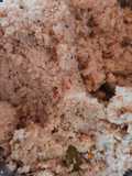 கோதுமை ரவை உப்புமா(wheat rava upma recipe in tamil)