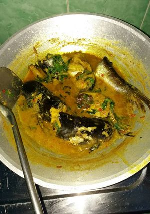 Foto resep Ikan patin bumbu kuning