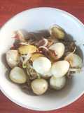 Tumis telur puyuh punten toge