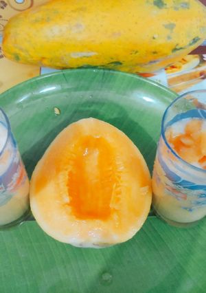 खरबूजा फालूदा जूस (Kharbuja faluda juice recipe in marathi) रेसिपी चे मुख्य फोटो 