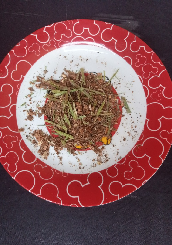 Tea Spice ainihin hoton girkin