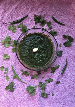 ભજીયાની ગ્રીન ચટણી(Green Chutney recipe in Gujarati) રેસીપી મુખ્ય ફોટો
