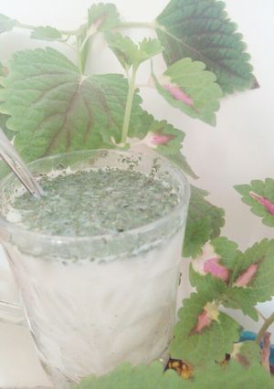 عکسی از دستور دوغ خونگی