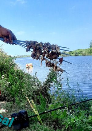عکسی از دستور کباب گوساله مخصوص خوشمزه 🤩🤩🤩