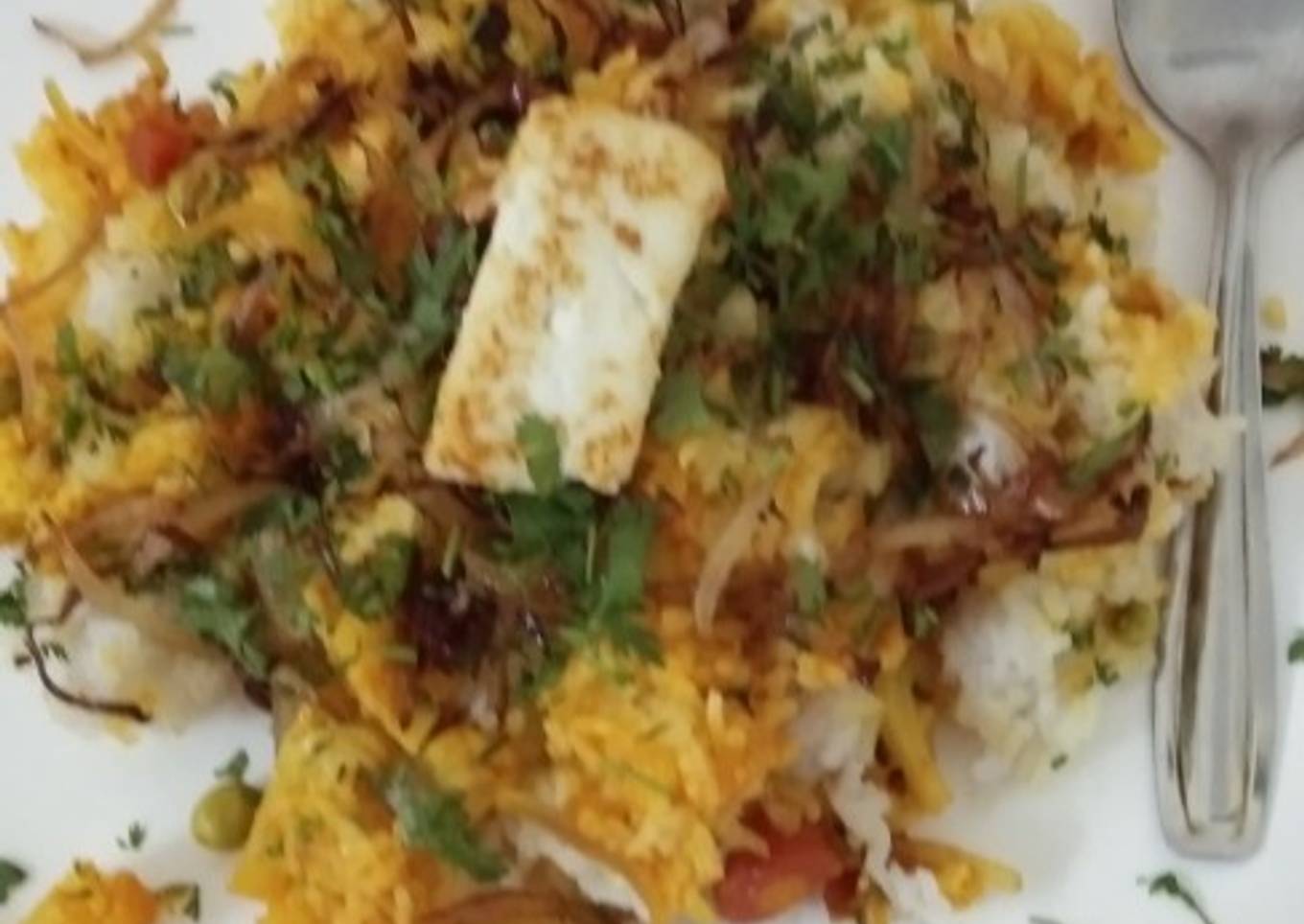 Veg Biryani