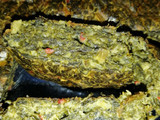 Bocados de Acelga