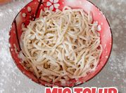 Gambar mie mentah mie telor