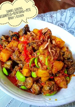 Foto resep Sambal goreng ati ampela+kentang+petai