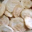 Khaja