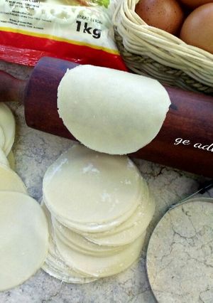 Foto resep Dumpling/Kulit Siomay/Gyoza