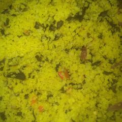 A picture of Danbun shinkafa.