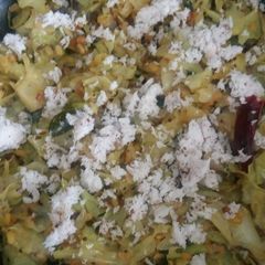 A picture of Cabbage in fresh avatar.